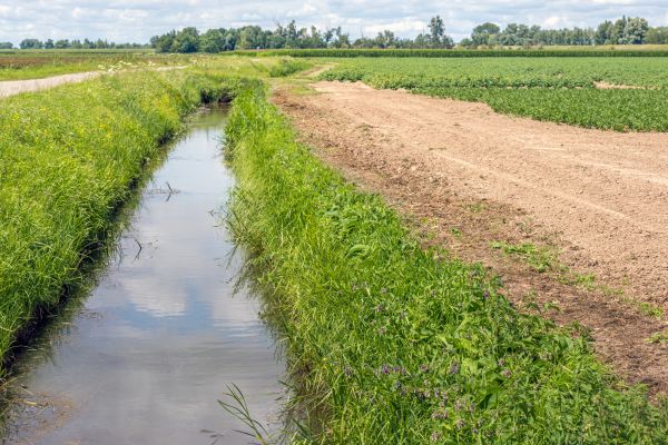 Field Drainage Installation